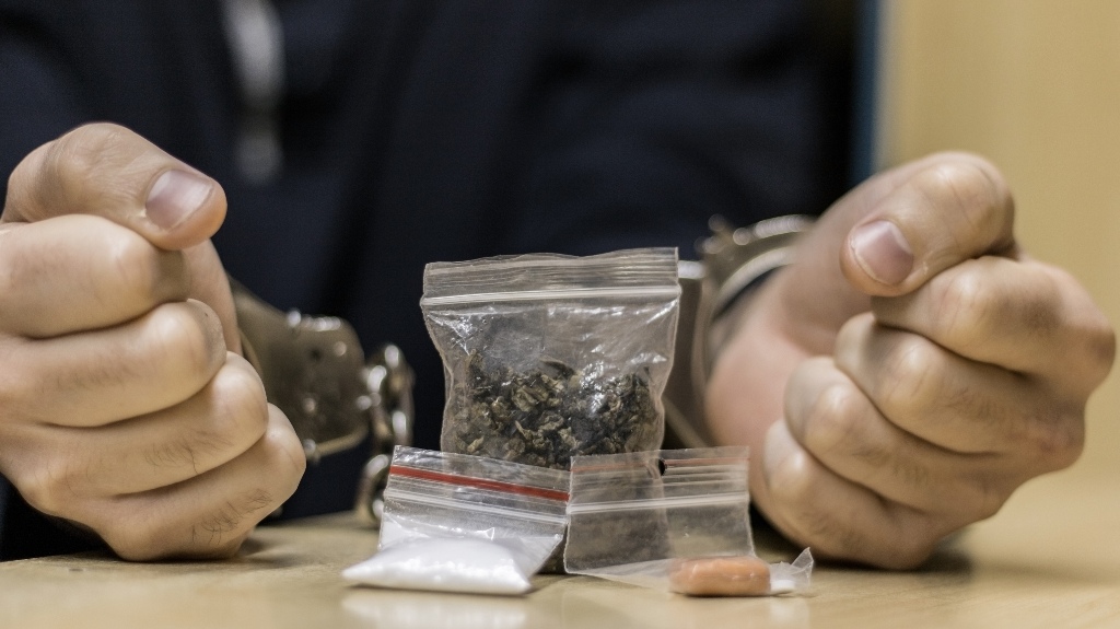 Negotiating Plea Bargains