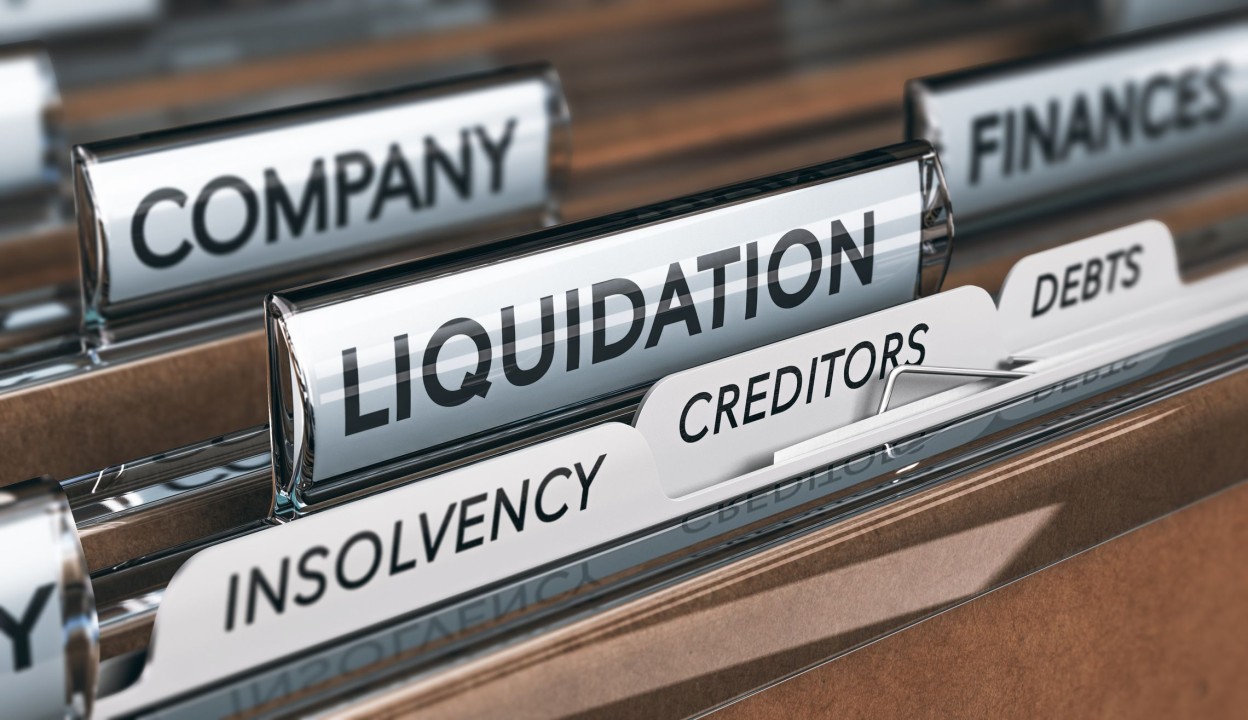 Debt Assessment and Analysis
