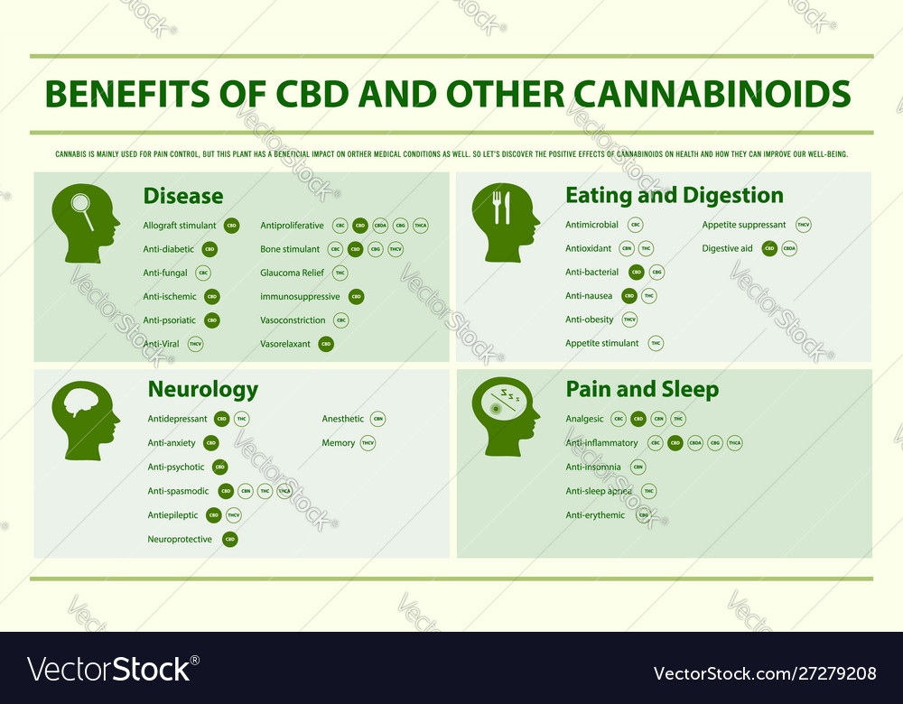 Cbd Cream - Truths