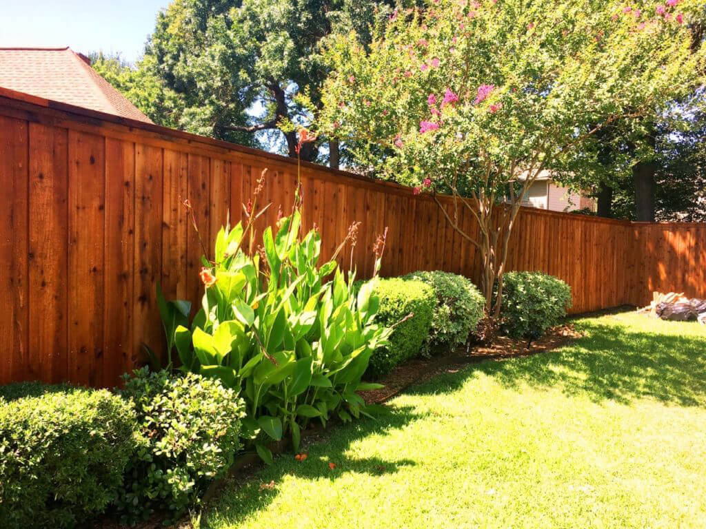 Types of Staining Products