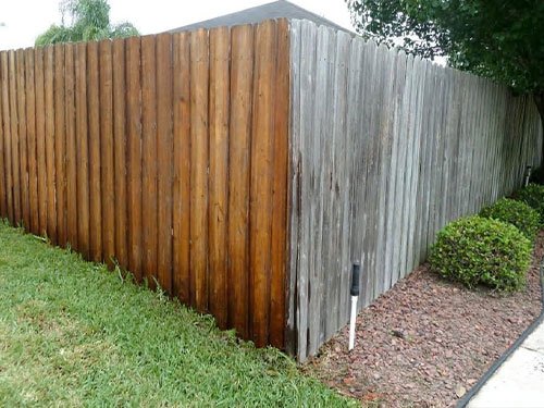 Proper Staining Techniques
