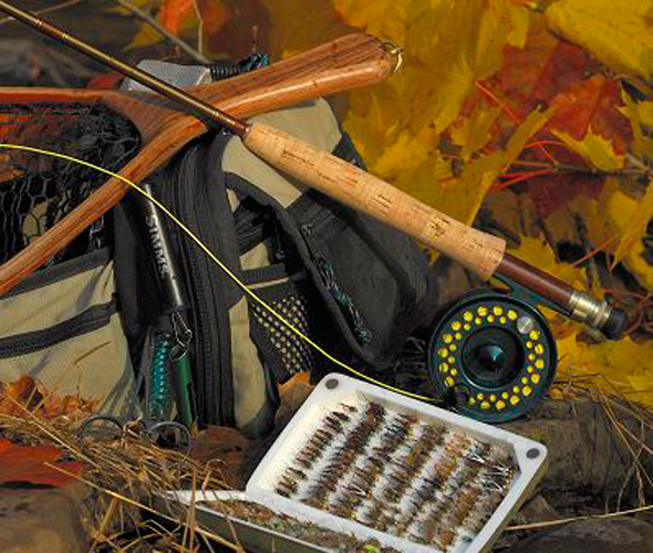 Online vs. Local Shops