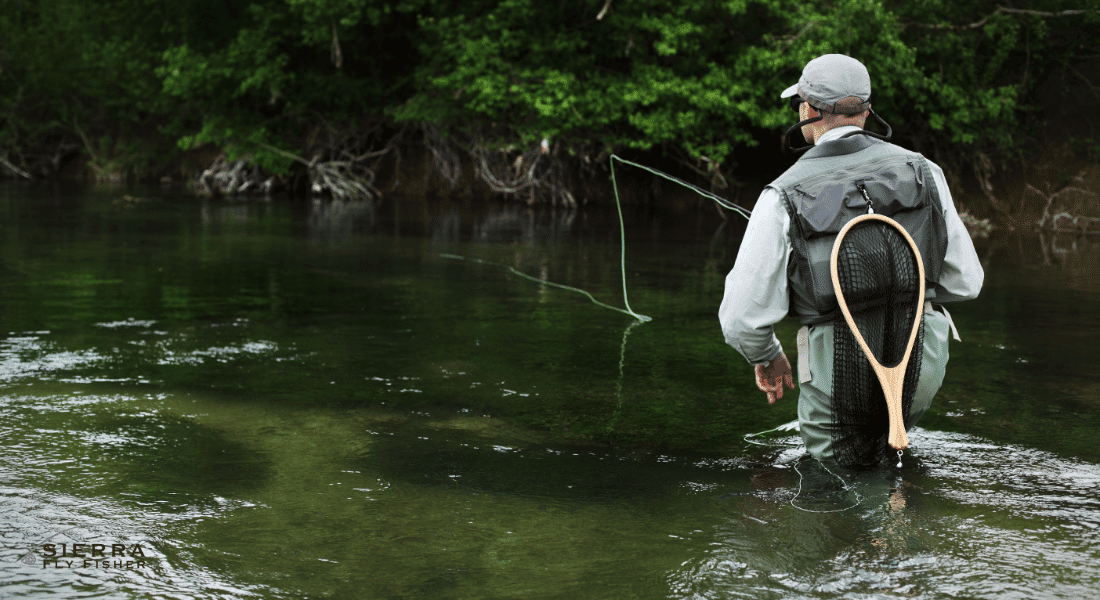 Key Features of a Great Shop