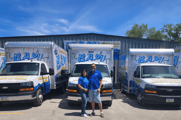 Maintenance Tips for Longevity