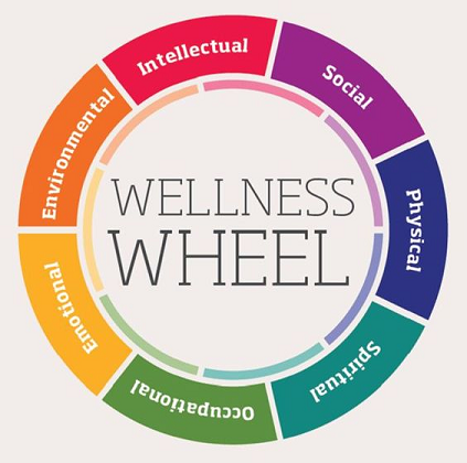 Understanding Functional Medicine Basics