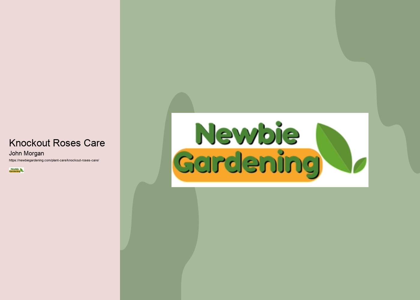 Knockout Roses Care