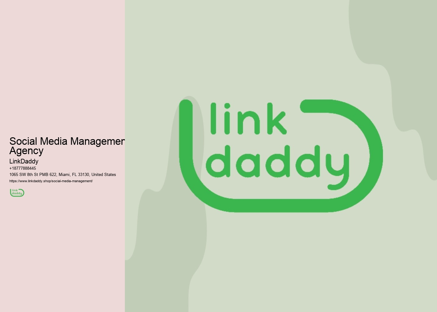 Social Media Management Agency