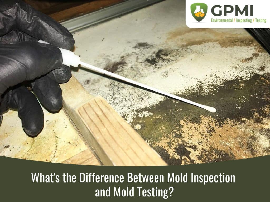 Essential Tools for Mold Testing