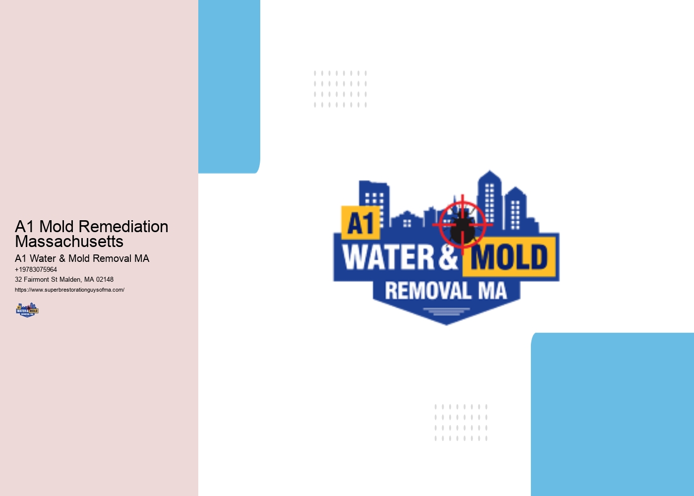 A1 Mold Remediation Massachusetts