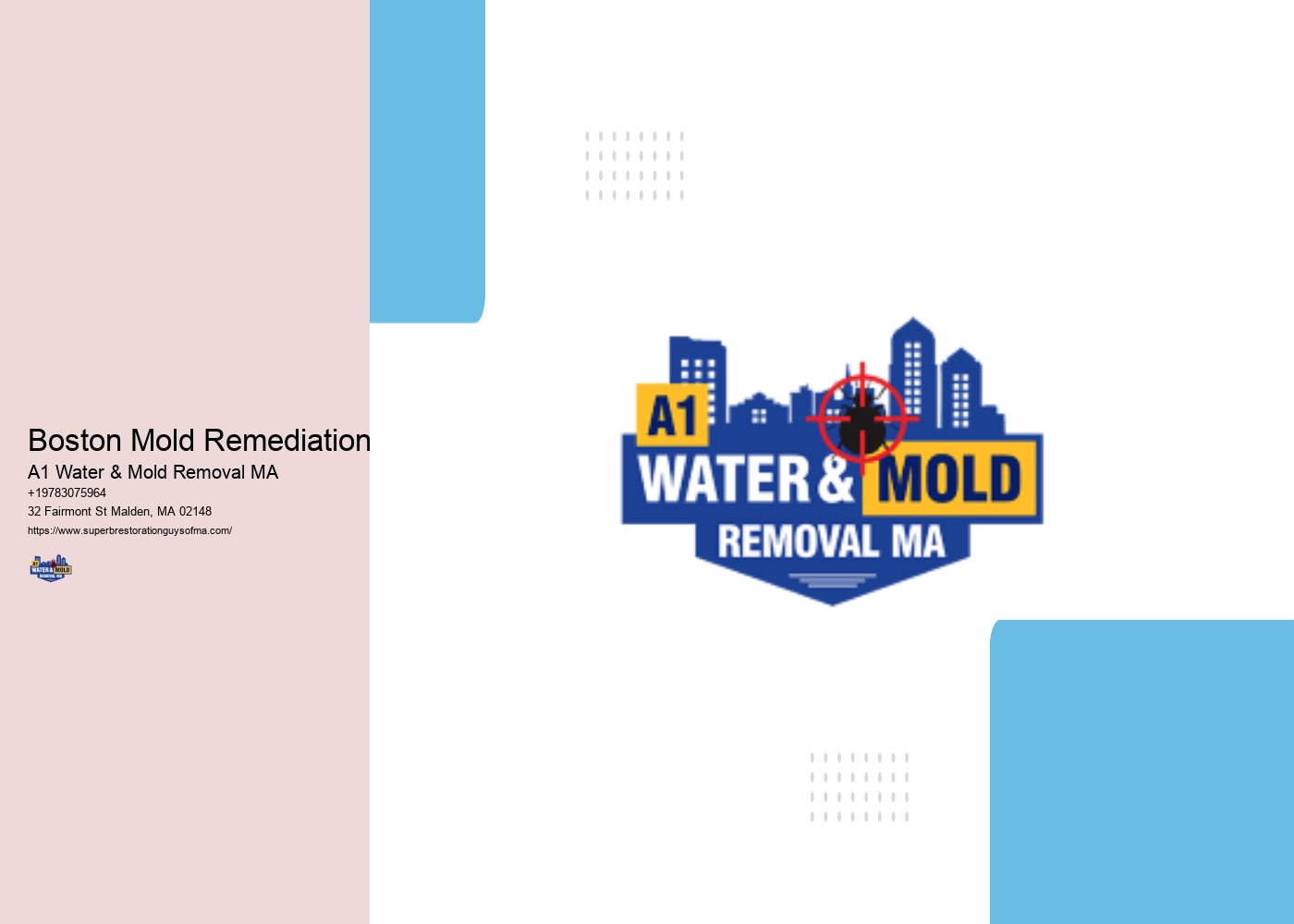 Boston Mold Remediation
