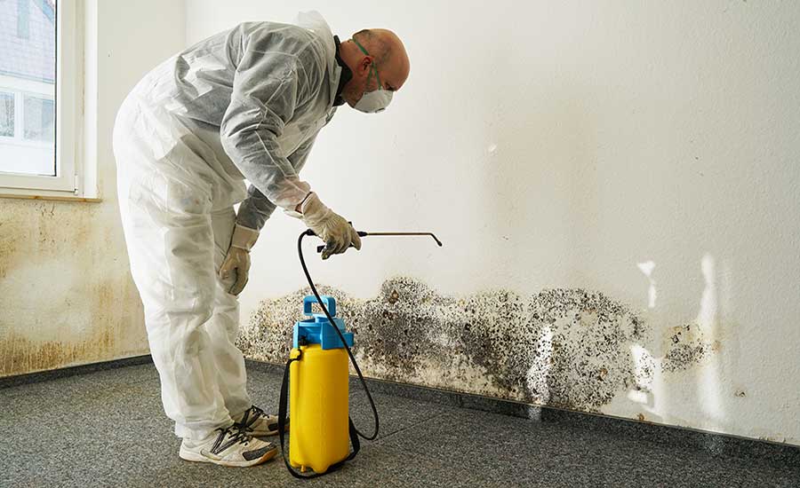 Preventing Future Mold Growth