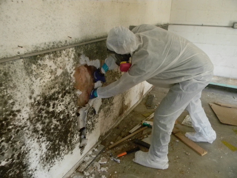 Developing a Remediation Plan