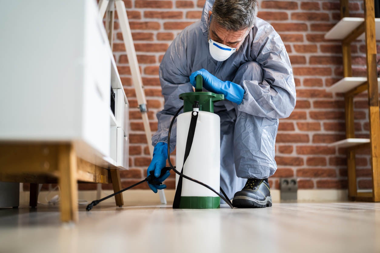Why Choose Professional Pest Control?