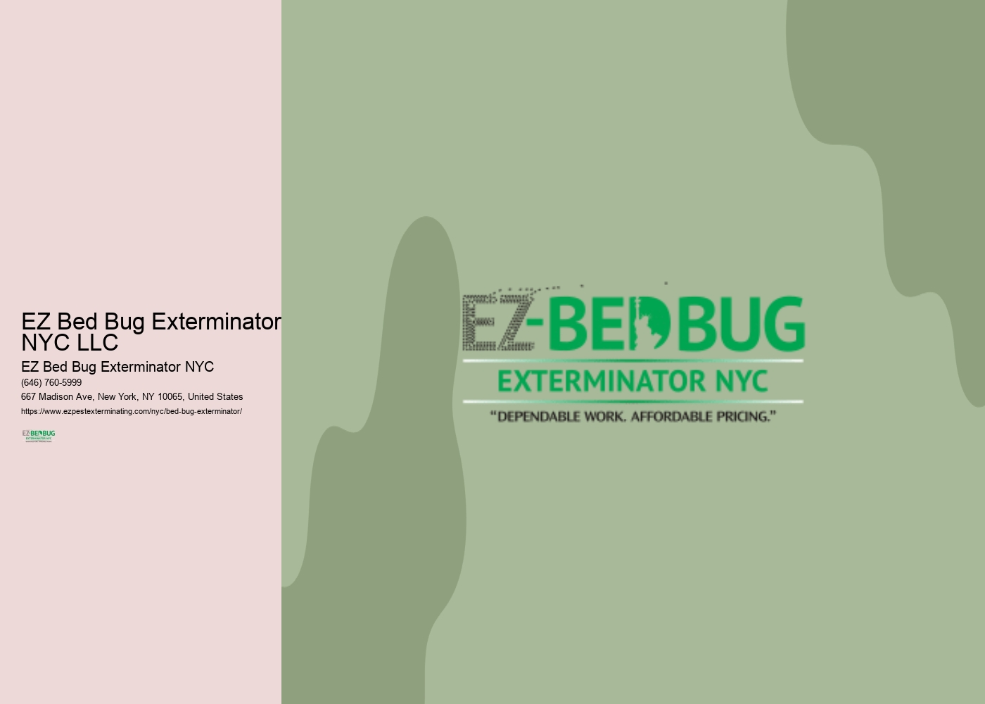 EZ Bed Bug Exterminator NYC LLC