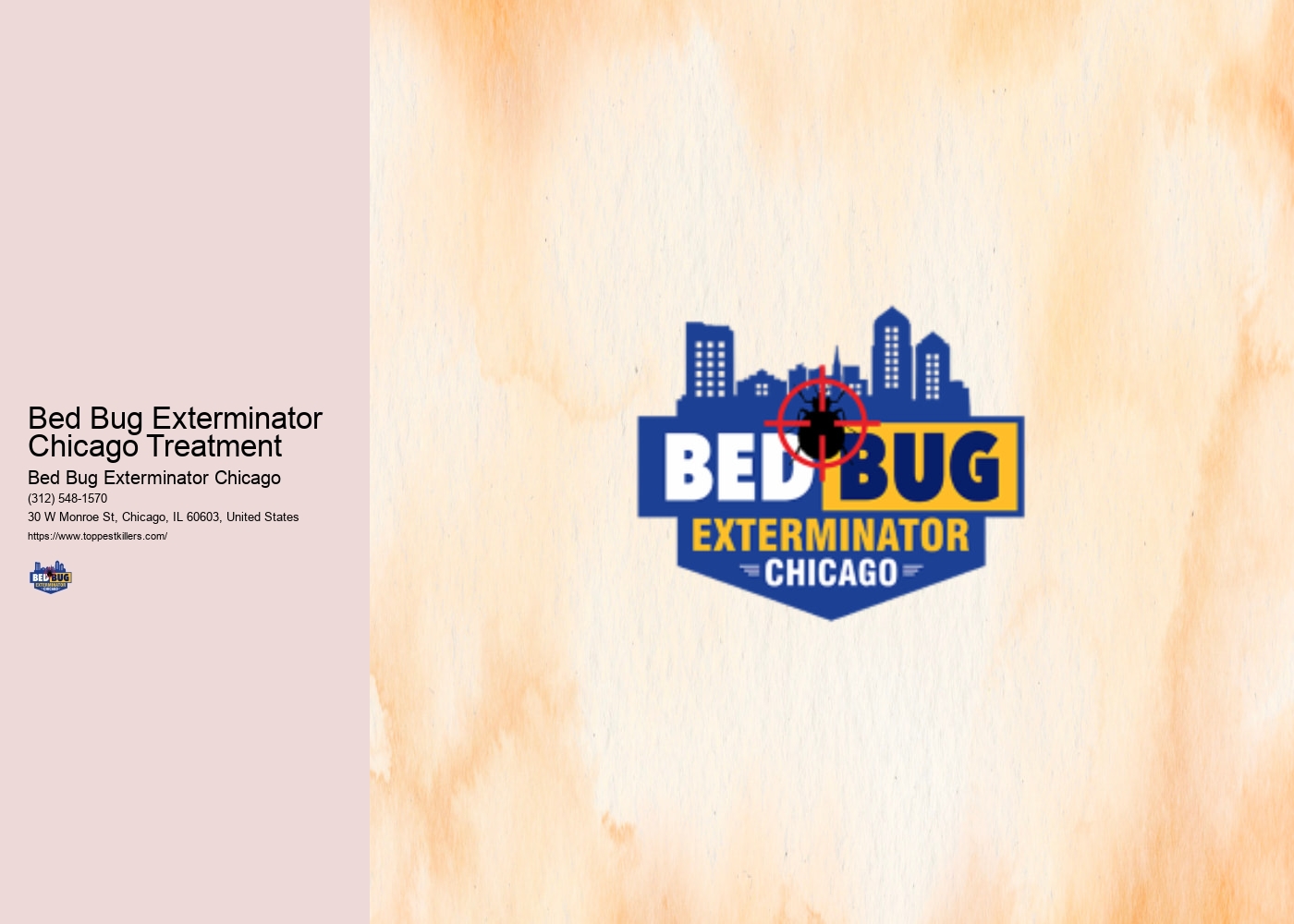Bed Bug Exterminator Chicago Treatment