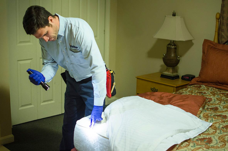 Safe and Effective Extermination Methods