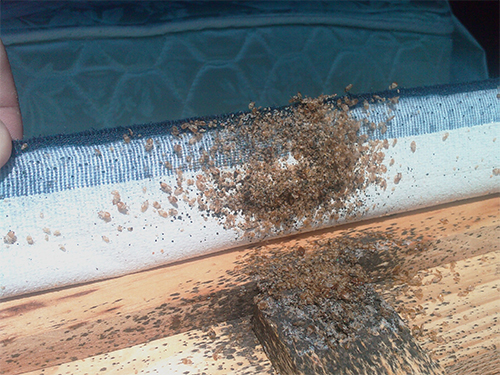 Integrated Pest Management Strategies
