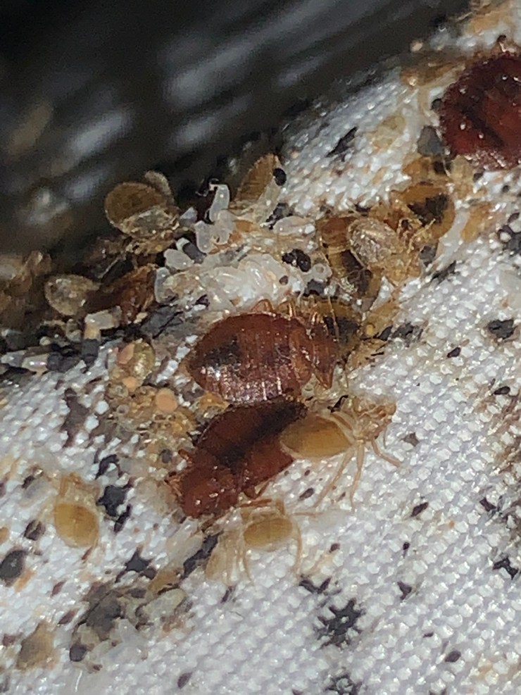 Cryonite Applications