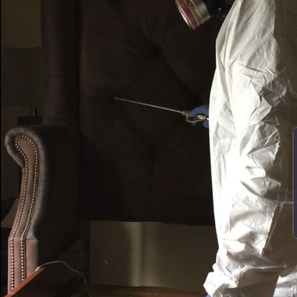 Risks of DIY Extermination