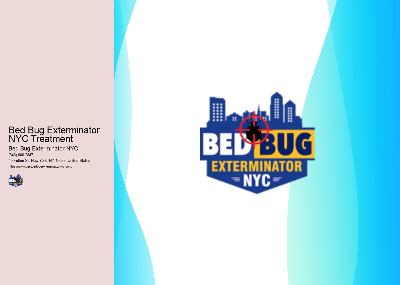 Bed Bug Exterminator NYC Treatment