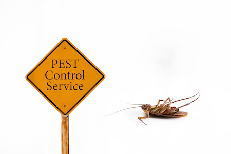 Benefits of Professional Extermination