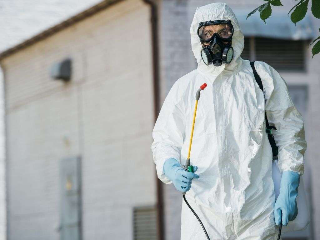 Maintaining a Bed Bug-Free Home
