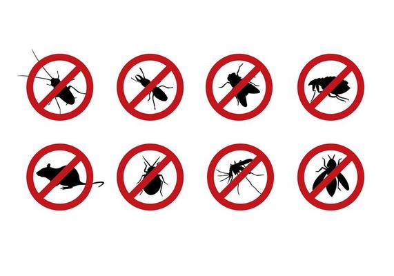 Safety for Your Family