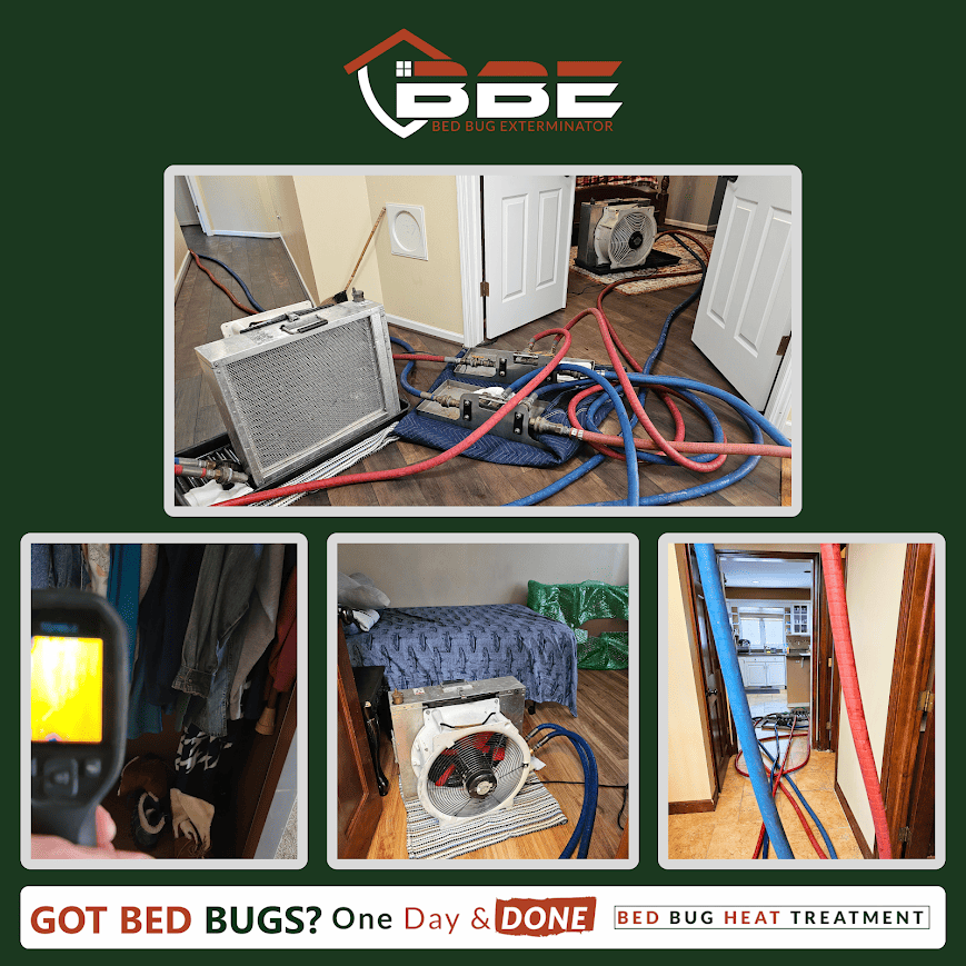 Top Bed Bug Removal Services