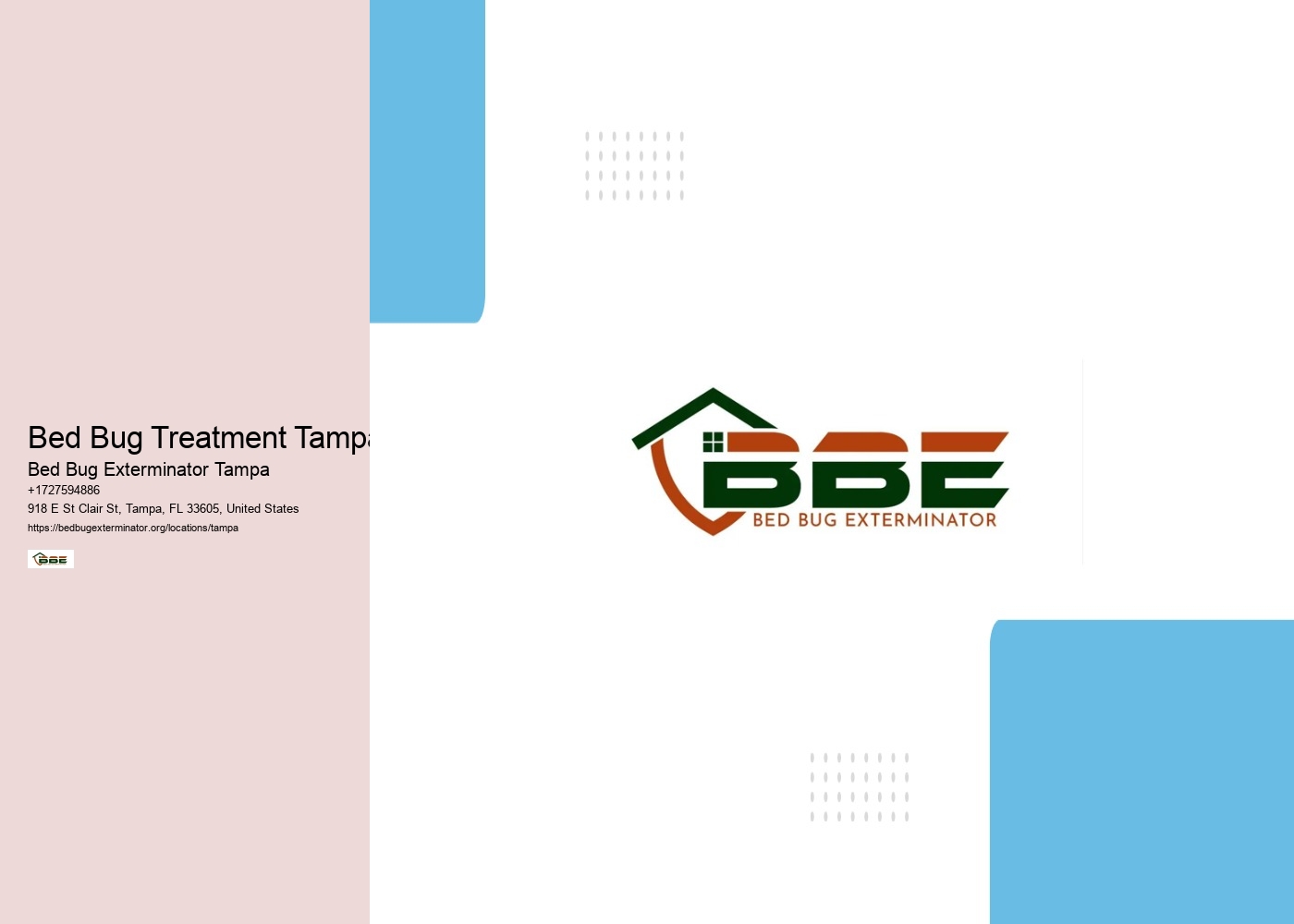 Bed Bug Treatment Tampa