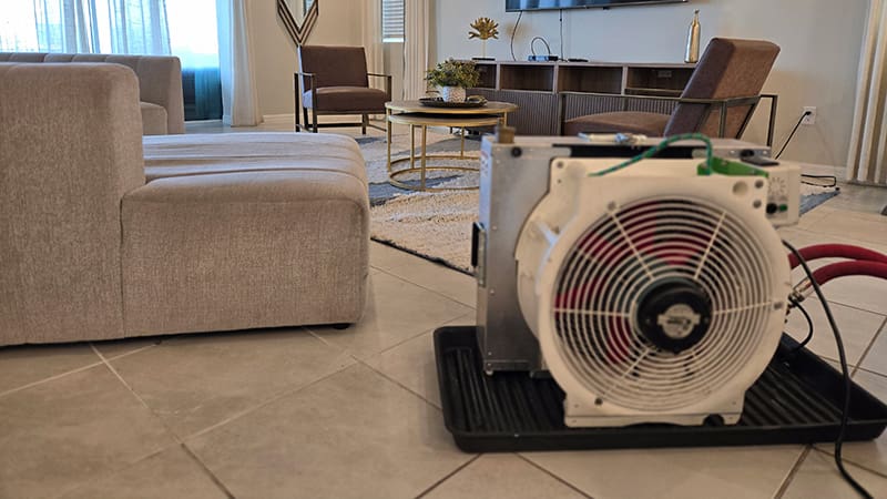 Benefits of Professional Extermination