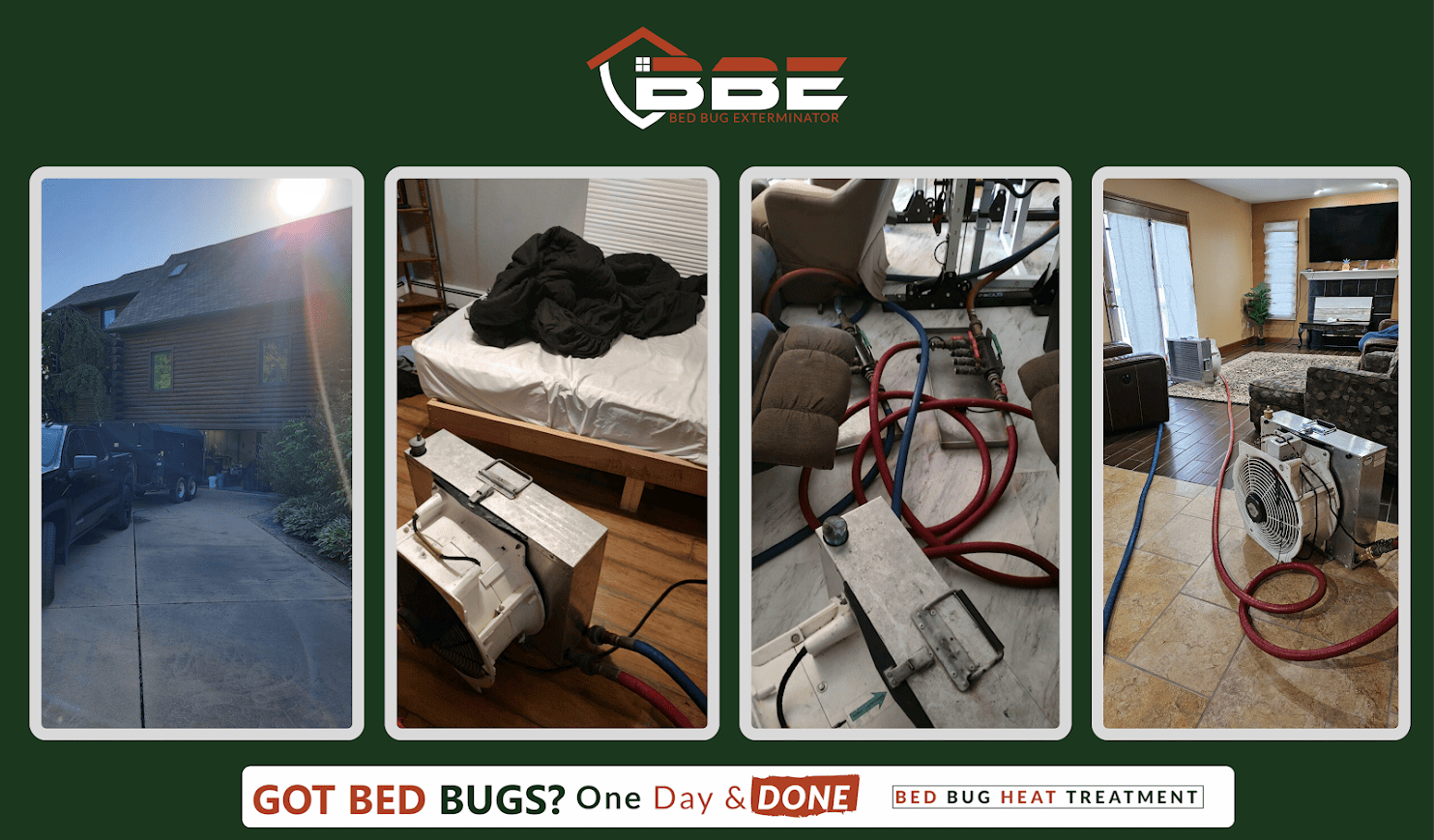 Benefits of Eco-Friendly Extermination