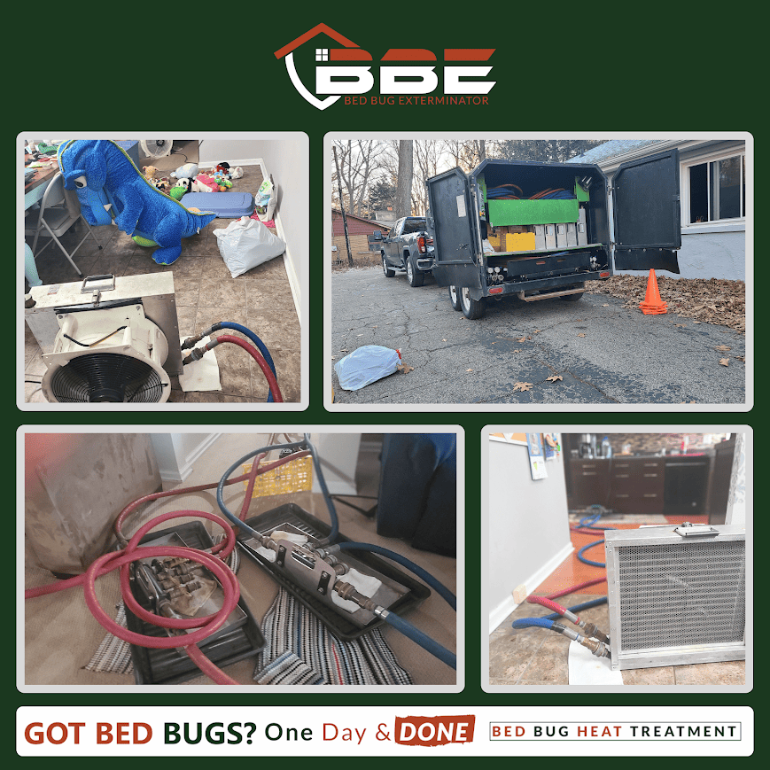 Choosing the Right Exterminator