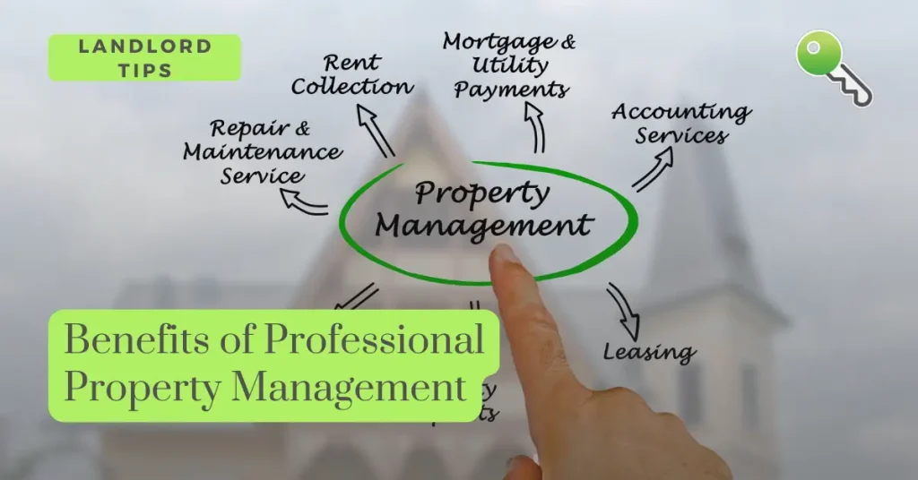 Tailored Solutions for Every Investor