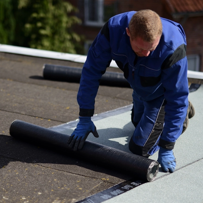 Common Roofing Problems