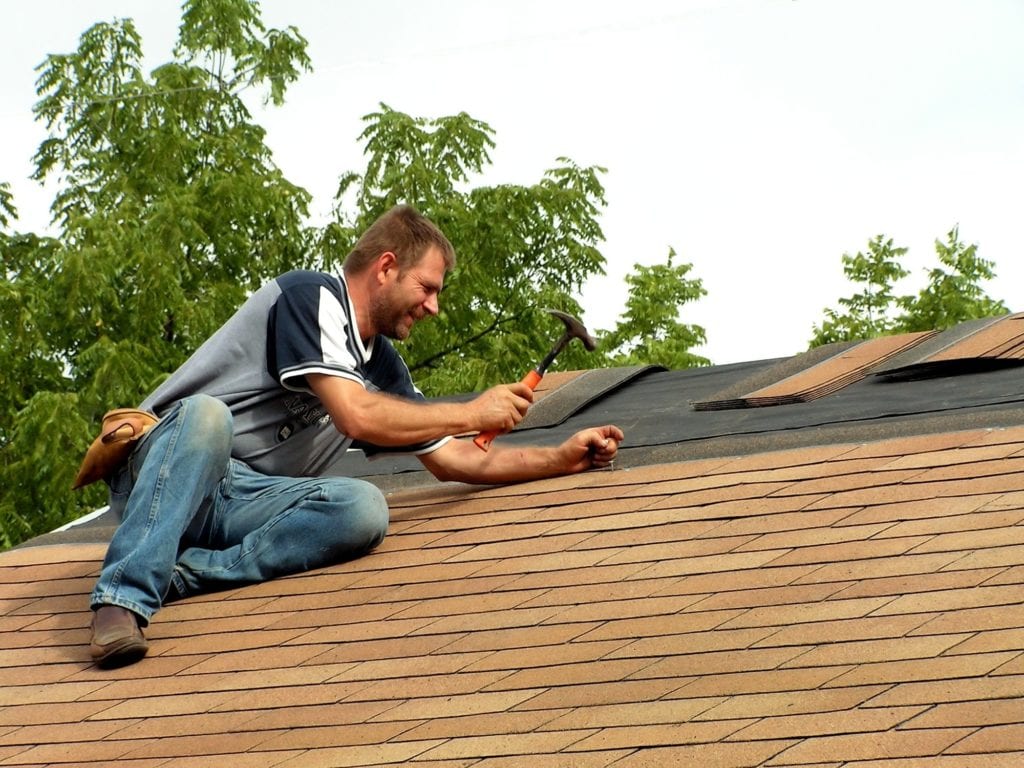 Maintenance Tips for Longevity