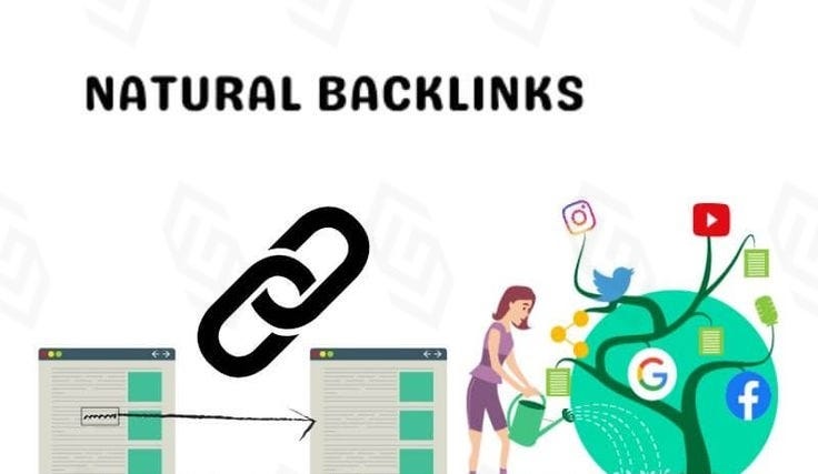 Link Building Strategies