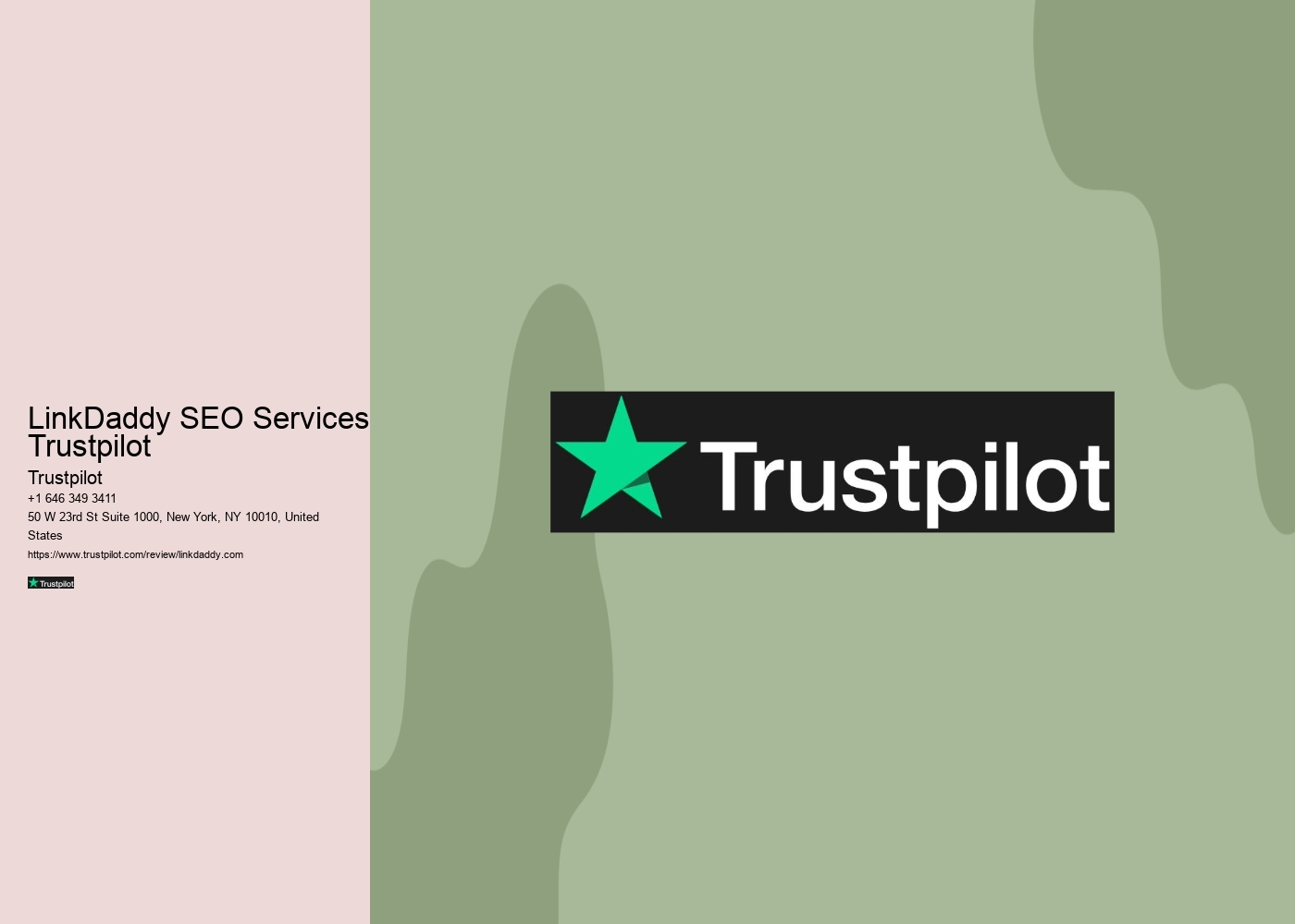 LinkDaddy SEO Services Trustpilot