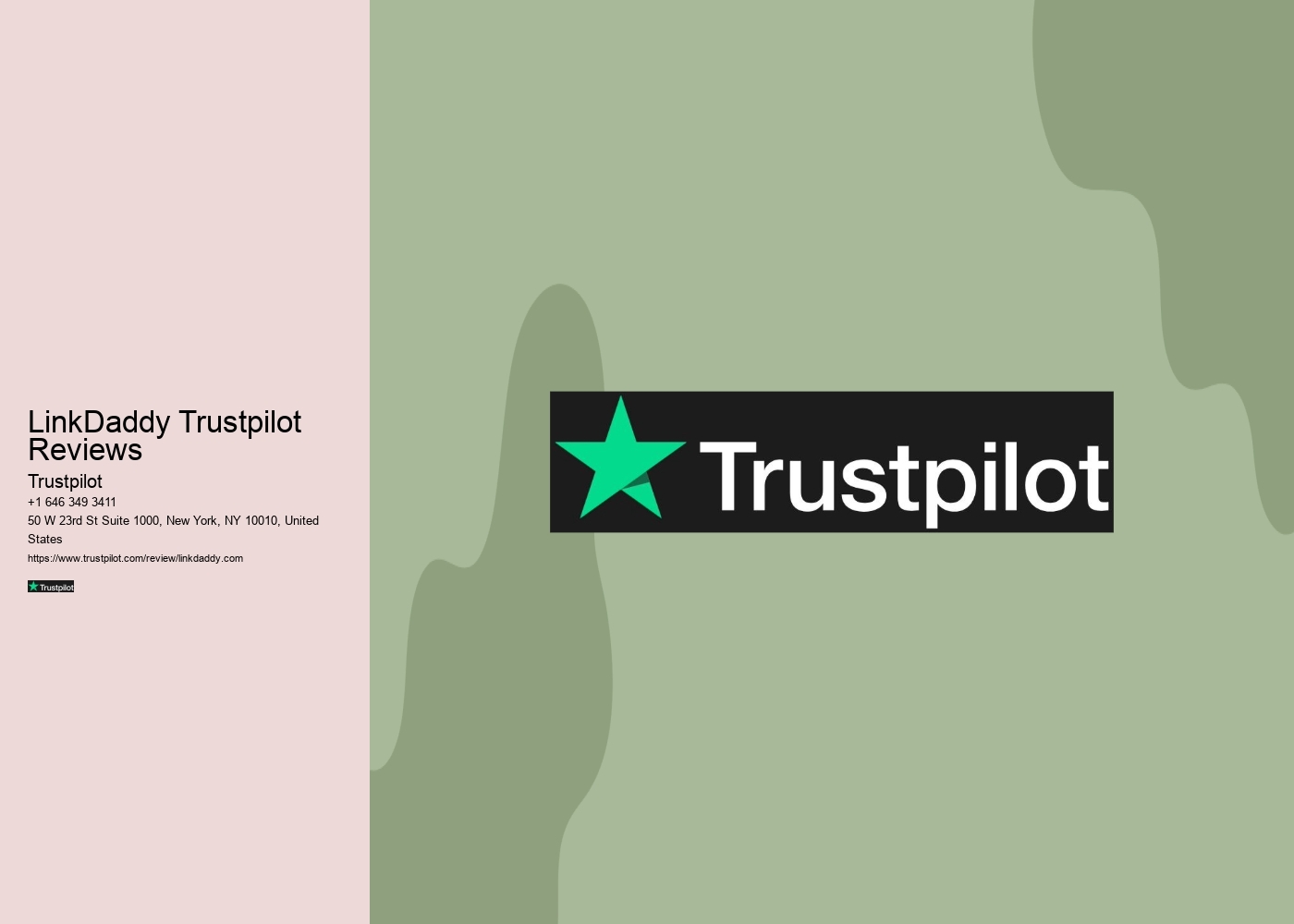 LinkDaddy Trustpilot Reviews