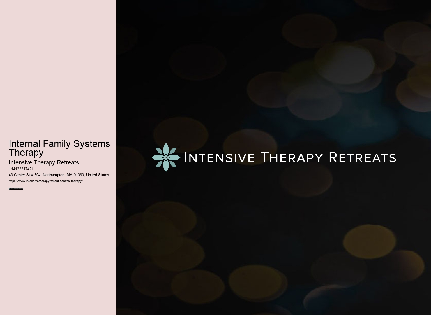 Internal Family Systems Therapy