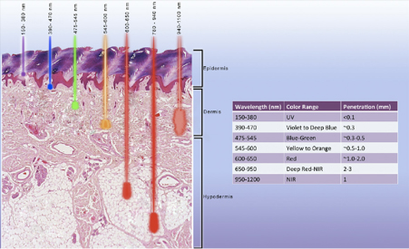 The Ultimate Guide To Photobiomodulation