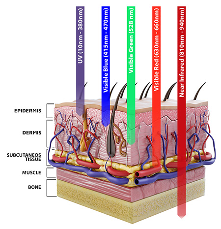 The Best Strategy To Use For Photobiomodulation